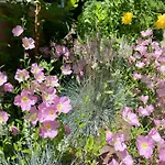 Casa de Tres Lunas/House of Three Moons